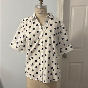 Talbots Wrinkle Resistant Polkadot Dress Shirt